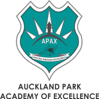 Auckland Park Academy of Excellence Auckland Park Academy of Excellence